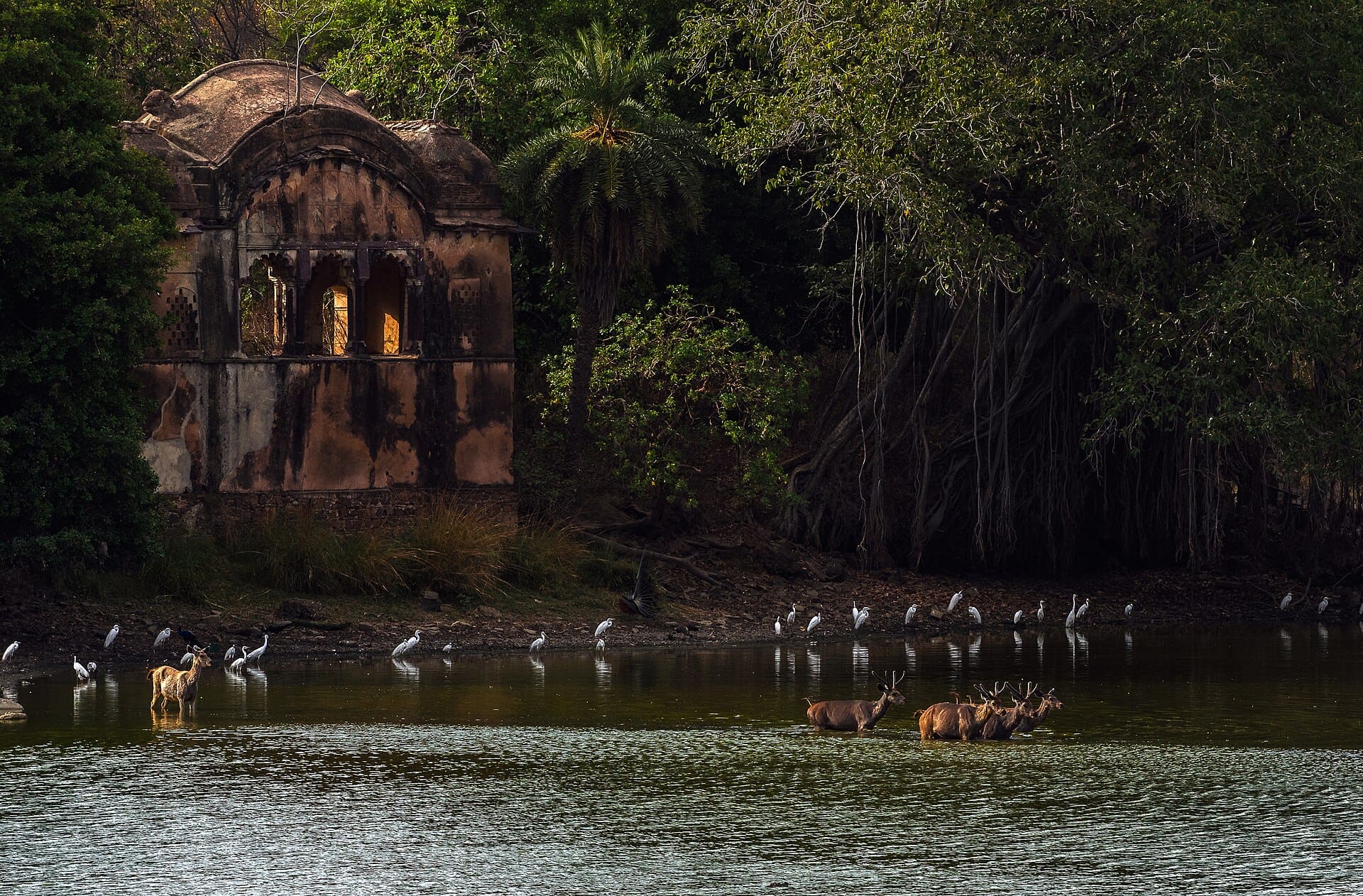 The old hunting lodge at Rajbagh, Ranthambore