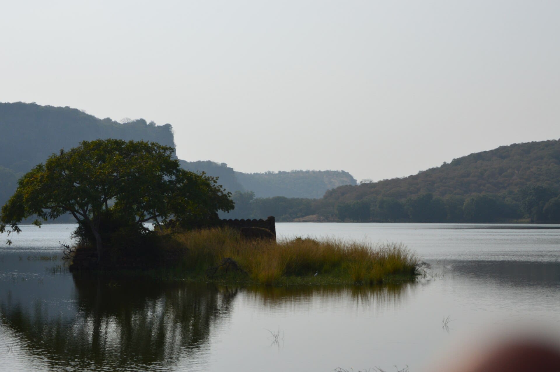 Padam Talao at dusk, the largest lake inside Ranthambore National Park