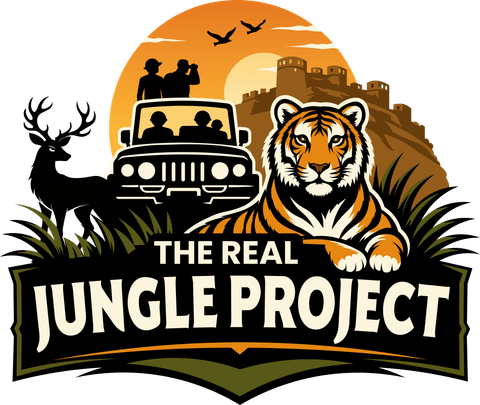The Real Jungle Project